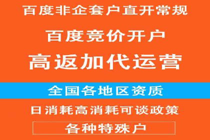热门SEM运营公司案例深度剖析